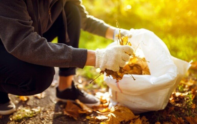 Surprising Garden Laws You Could Be Accidentally Breaking Surprising Garden Laws You Could Be Accidentally Breaking
