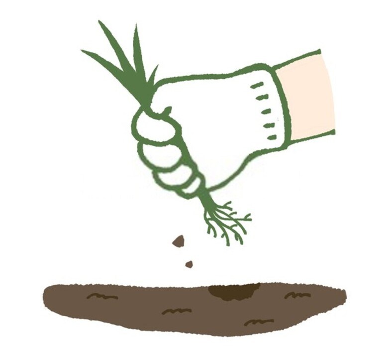 Surprising Garden Laws You Could Be Accidentally Breaking Surprising Garden Laws You Could Be Accidentally Breaking