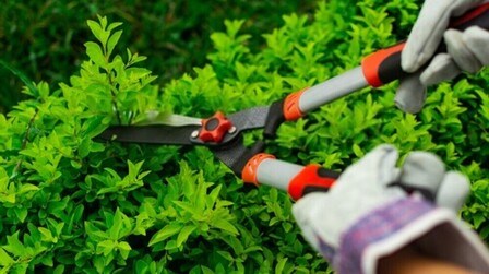 Surprising Garden Laws You Could Be Accidentally Breaking