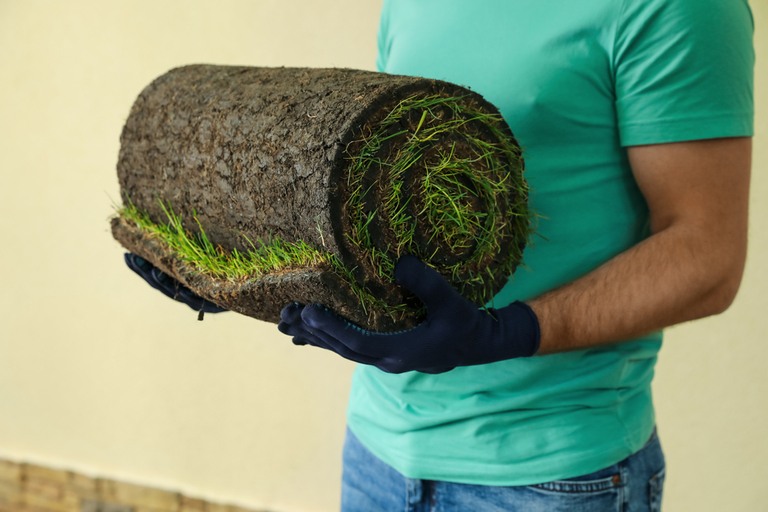 Tips On What To Do With Removed Sod Tips On What To Do With Removed Sod