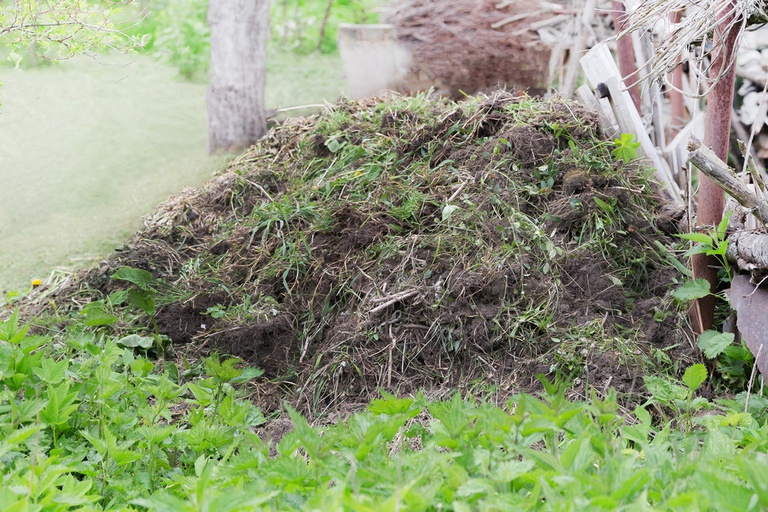 Tips On What To Do With Removed Sod Tips On What To Do With Removed Sod