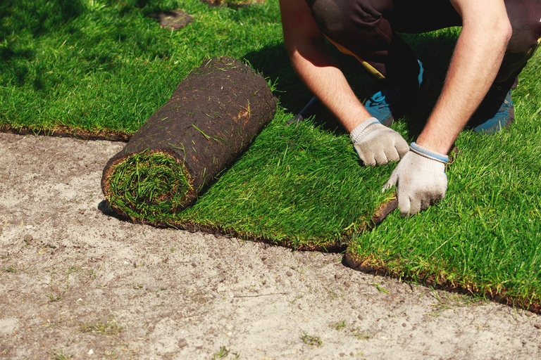 Tips On What To Do With Removed Sod Tips On What To Do With Removed Sod