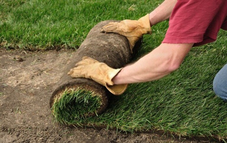 Tips On What To Do With Removed Sod Tips On What To Do With Removed Sod