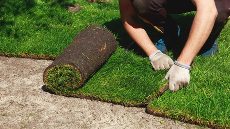 Tips On What To Do With Removed Sod