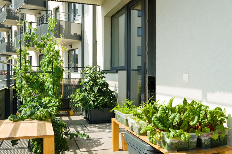Ways to Get Your Pandemic Victory Garden off the Ground Ways to Get Your Pandemic Victory Garden off the Ground