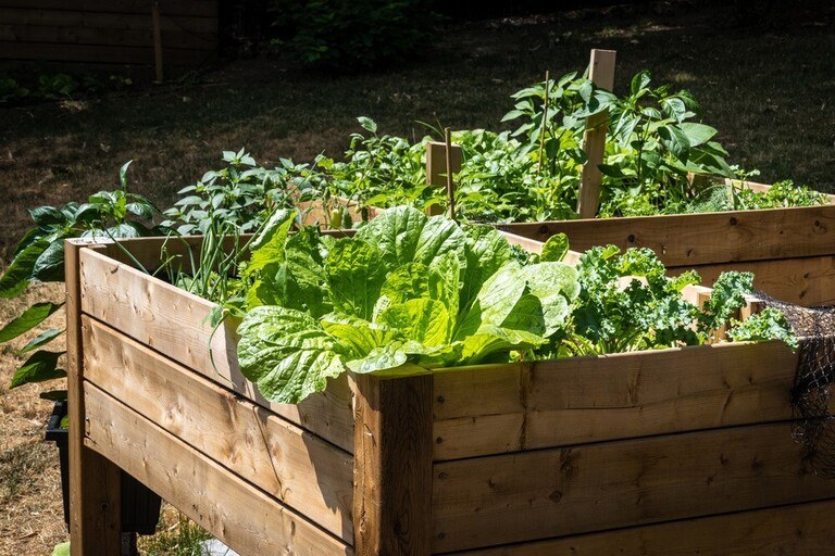 Ways to Get Your Pandemic Victory Garden off the Ground Ways to Get Your Pandemic Victory Garden off the Ground