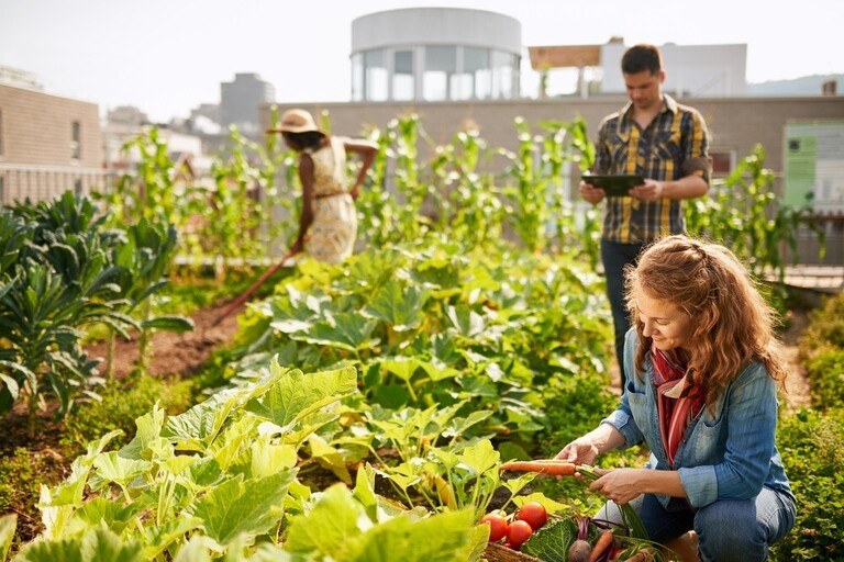 Ways to Get Your Pandemic Victory Garden off the Ground Ways to Get Your Pandemic Victory Garden off the Ground