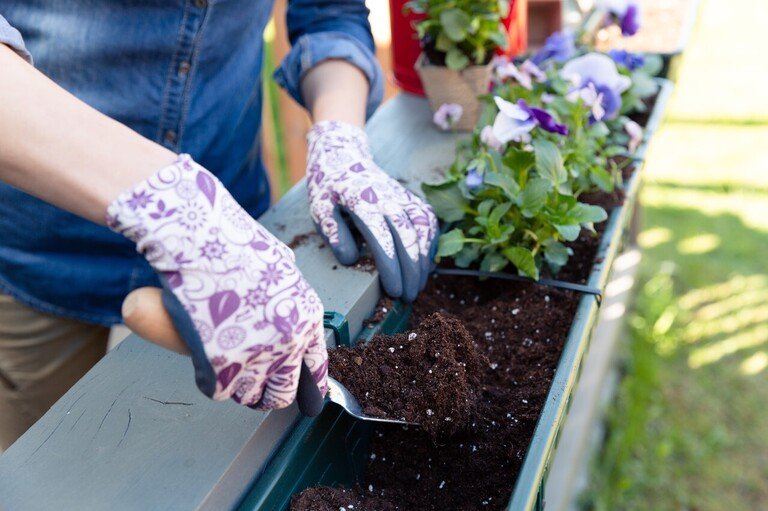 Ways to Get Your Pandemic Victory Garden off the Ground Ways to Get Your Pandemic Victory Garden off the Ground