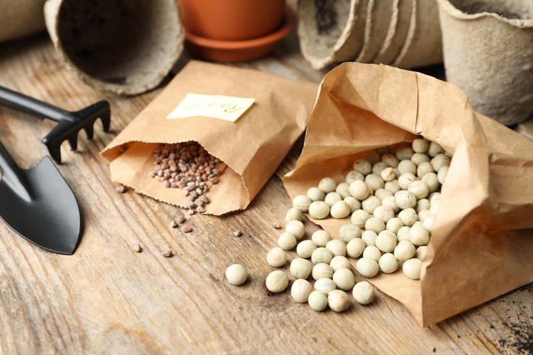 Secrets to Growing Giant-Sized Vegetables Secrets to Growing Giant-Sized Vegetables