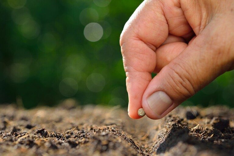 Secrets to Growing Giant-Sized Vegetables Secrets to Growing Giant-Sized Vegetables