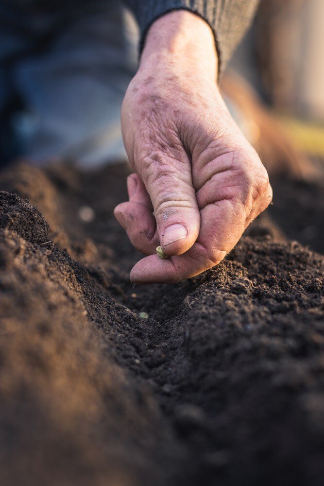 Secrets to Growing Giant-Sized Vegetables Secrets to Growing Giant-Sized Vegetables