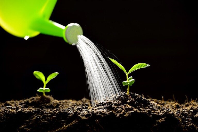 Secrets to Growing Giant-Sized Vegetables Secrets to Growing Giant-Sized Vegetables