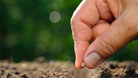 Secrets to Growing Giant-Sized Vegetables