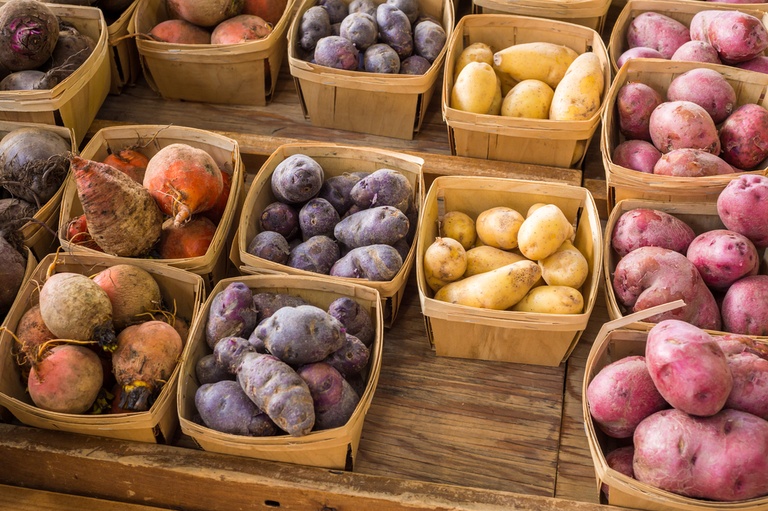 How to Grow a Heirloom Vegetable Garden? How to Grow a Heirloom Vegetable Garden?