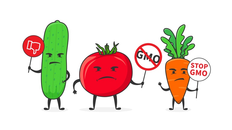 How to Grow a Heirloom Vegetable Garden? How to Grow a Heirloom Vegetable Garden?