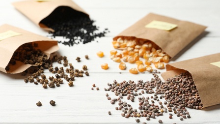 How to Grow a Heirloom Vegetable Garden?