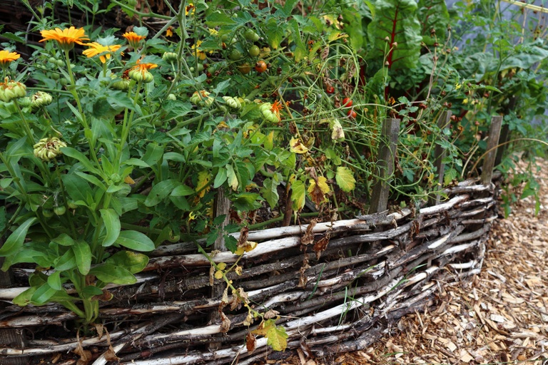Clever Garden Projects Using Only Sticks and Twigs Clever Garden Projects Using Only Sticks and Twigs