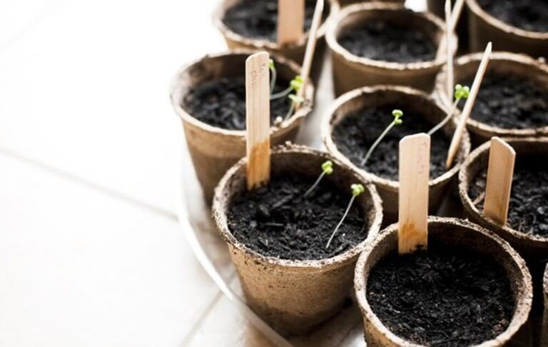 Clever Garden Projects Using Only Sticks and Twigs Clever Garden Projects Using Only Sticks and Twigs