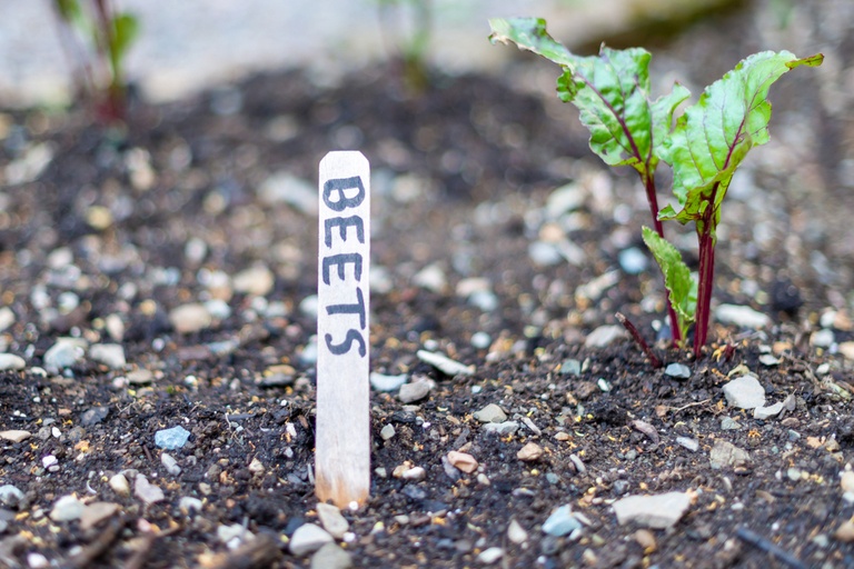 Clever Garden Projects Using Only Sticks and Twigs Clever Garden Projects Using Only Sticks and Twigs