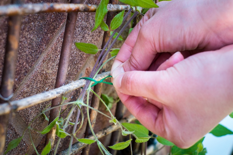 Clever Garden Projects Using Only Sticks and Twigs Clever Garden Projects Using Only Sticks and Twigs