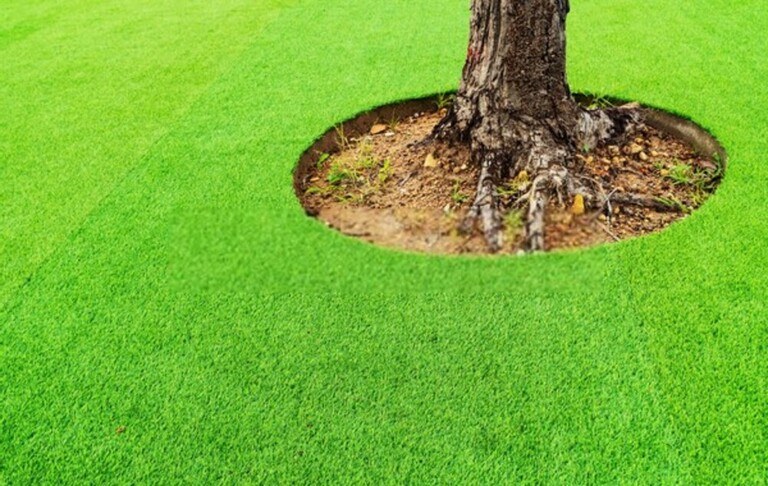 Tips For Installing Artificial Grass Near Trees Tips For Installing Artificial Grass Near Trees