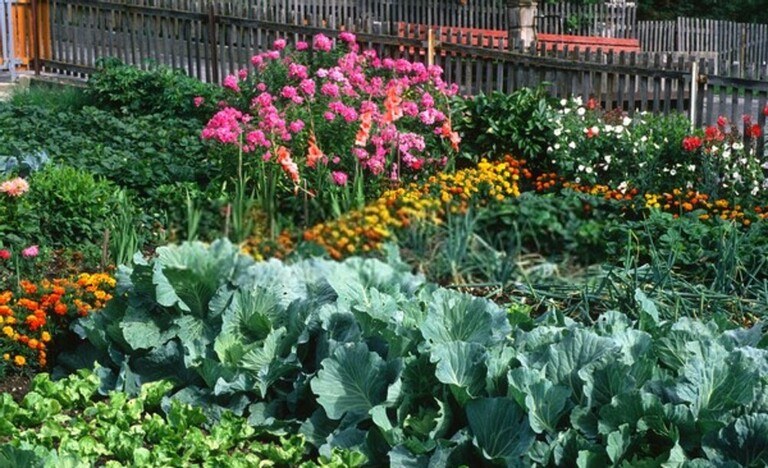 How To Restore A 19th-Century Garden To Its Former Glory? How To Restore A 19th-Century Garden To Its Former Glory?