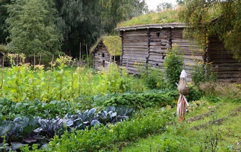 How To Restore A 19th-Century Garden To Its Former Glory? How To Restore A 19th-Century Garden To Its Former Glory?