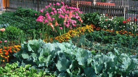 How To Restore A 19th-Century Garden To Its Former Glory?