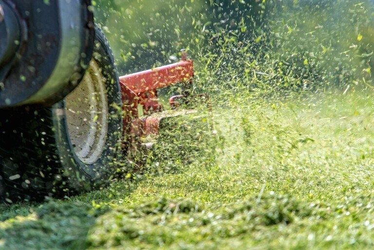 How to Use Lawn Ornaments Effectively? How to Use Lawn Ornaments Effectively?