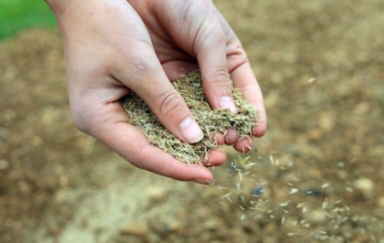 How To Grow Grass On Slopes? How To Grow Grass On Slopes?