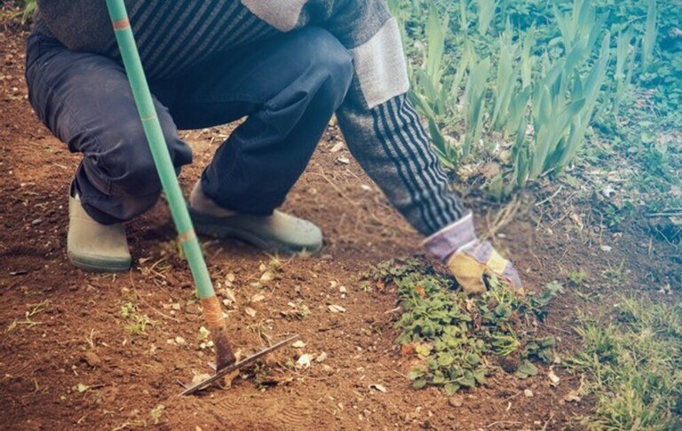 How To Grow Grass On Slopes? How To Grow Grass On Slopes?
