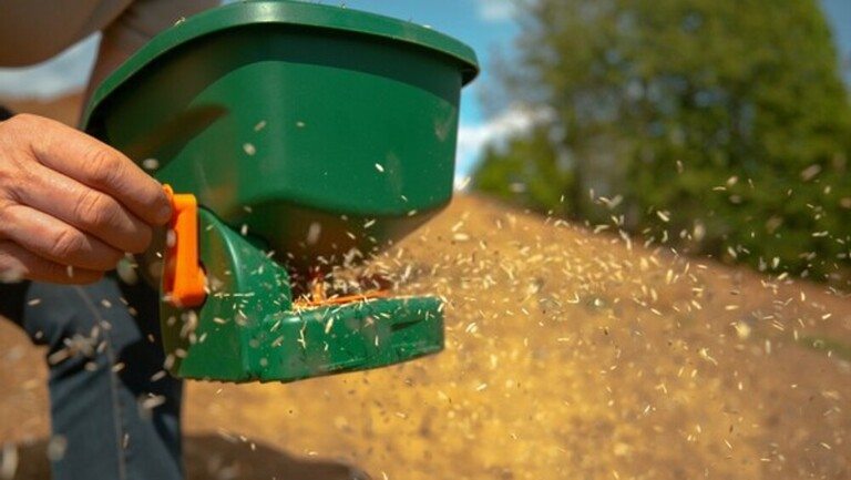 How To Grow Grass On Slopes? How To Grow Grass On Slopes?