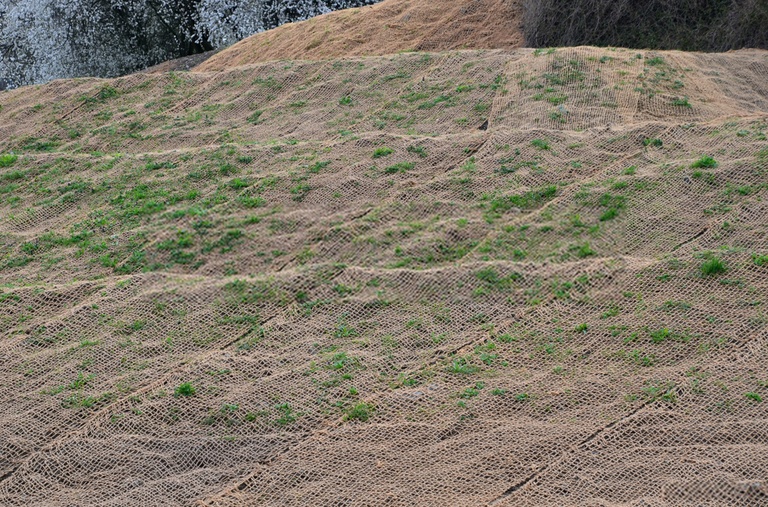 How To Grow Grass On Slopes? How To Grow Grass On Slopes?