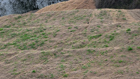 How To Grow Grass On Slopes?