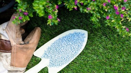 Best Fertilizer For Zoysia Grass of 2025: Top 6 Picks