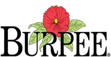 How To Choose The Best Potting Soil For Herbs? - Guide For Beginners