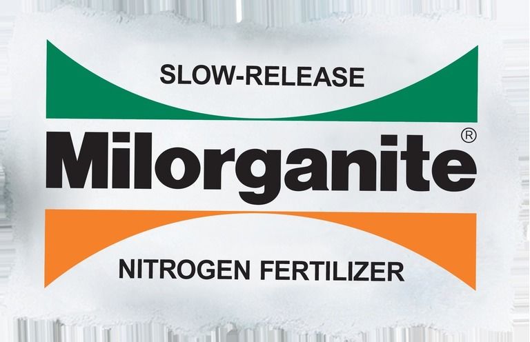 How To Choose The Best Fertilizer For Green Grass? Tips For Beginners How To Choose The Best Fertilizer For Green Grass? Tips For Beginners
