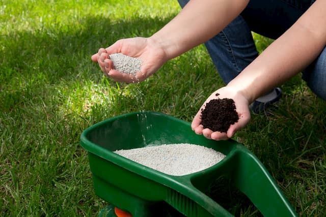 How To Choose The Best Fertilizer For Green Grass? Tips For Beginners How To Choose The Best Fertilizer For Green Grass? Tips For Beginners