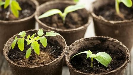 Best Organic Potting Soil For Plants of 2025: Top 7 Picks
