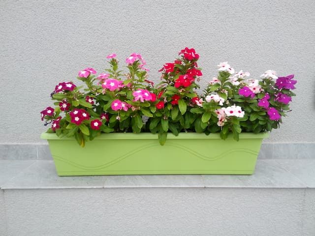 6 Best Cheap Large Planters For Outdoors of 2025 6 Best Cheap Large Planters For Outdoors of 2025