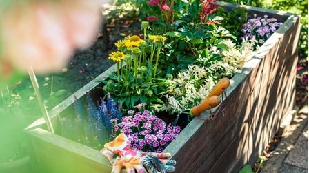 6 Best Cheap Large Planters For Outdoors of 2026