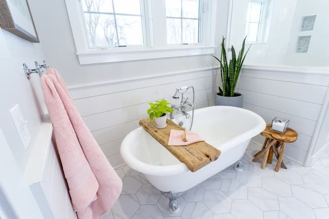 Best Plants For Bathroom That You Can Easily Grow At Home Best Plants For Bathroom That You Can Easily Grow At Home