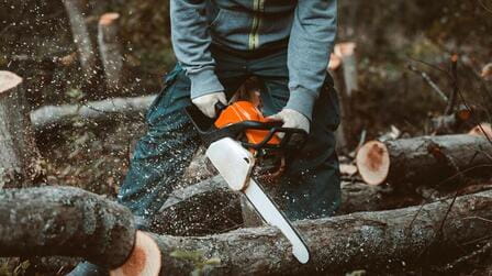6 Best Chainsaws For Firewood of 2025