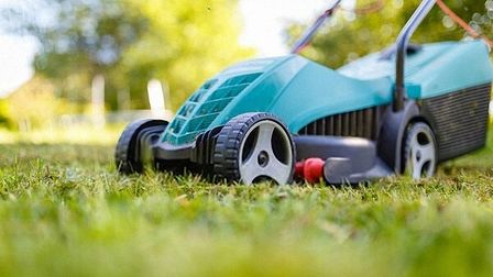 11 Best Small Lawn Mowers of 2026