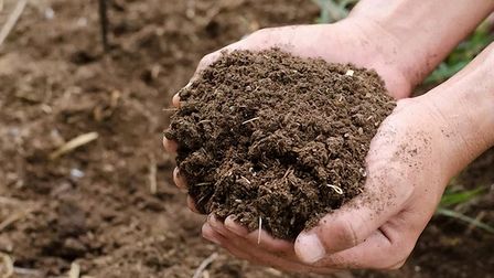 Best Compost For Garden Soil of 2025: Top 5 Picks