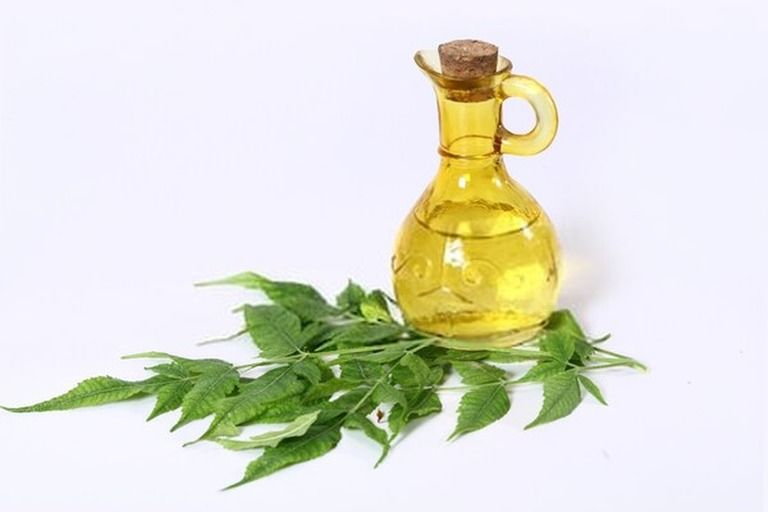 Effective Organic Pest Management Solutions You Can Try At Home Effective Organic Pest Management Solutions You Can Try At Home