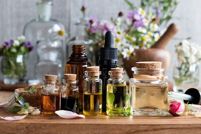 Effective Organic Pest Management Solutions You Can Try At Home Effective Organic Pest Management Solutions You Can Try At Home