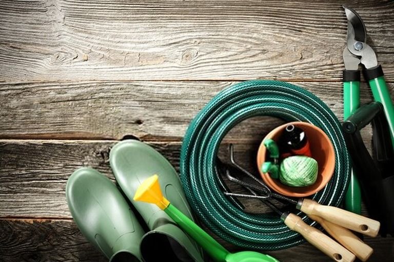 How To Start A Vegetable Garden From Scratch? - Guide For Beginners How To Start A Vegetable Garden From Scratch? - Guide For Beginners
