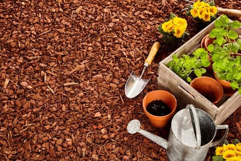 How To Start A Vegetable Garden From Scratch? - Guide For Beginners How To Start A Vegetable Garden From Scratch? - Guide For Beginners