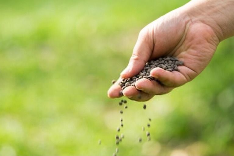 How To Start A Vegetable Garden From Scratch? - Guide For Beginners How To Start A Vegetable Garden From Scratch? - Guide For Beginners